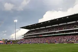 纽卡斯尔主场连进四球,主教练高兴莫名受伤了 纽卡斯尔主场连进四球,主教练高兴莫名受伤了