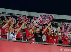 关于激动人心的国际足球联赛即将展开争夺的信息